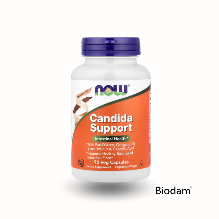 CANDIDA SUPPORT 90 CAPS NOW